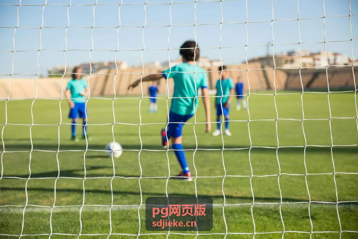 PG网页版操作步骤与界面示意